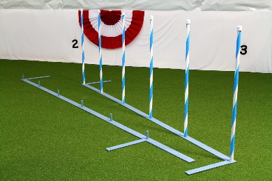 12 weave pole set