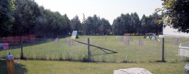 outdoor agility ring