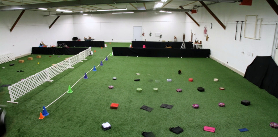 indoors setup for scent detection